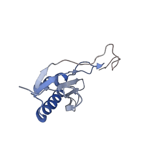 21859_6woo_OO_v1-0
CryoEM structure of yeast 80S ribosome with Met-tRNAiMet, eIF5B, and GDP