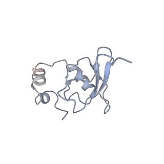 21859_6woo_PP_v1-0
CryoEM structure of yeast 80S ribosome with Met-tRNAiMet, eIF5B, and GDP