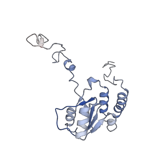 21859_6woo_Q_v1-0
CryoEM structure of yeast 80S ribosome with Met-tRNAiMet, eIF5B, and GDP