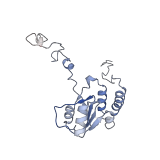 21859_6woo_Q_v2-0
CryoEM structure of yeast 80S ribosome with Met-tRNAiMet, eIF5B, and GDP