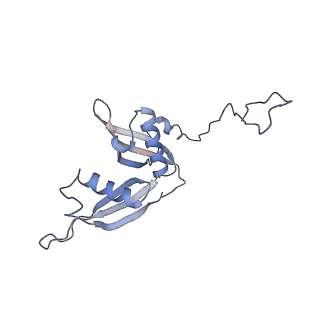 21859_6woo_S_v1-0
CryoEM structure of yeast 80S ribosome with Met-tRNAiMet, eIF5B, and GDP