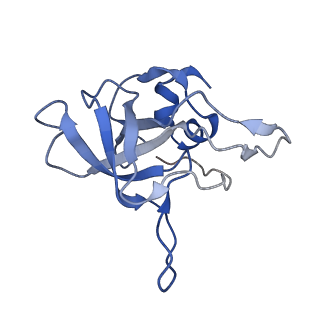 21859_6woo_V_v1-0
CryoEM structure of yeast 80S ribosome with Met-tRNAiMet, eIF5B, and GDP