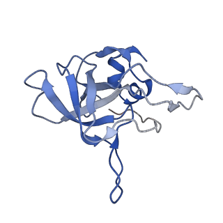 21859_6woo_V_v2-0
CryoEM structure of yeast 80S ribosome with Met-tRNAiMet, eIF5B, and GDP