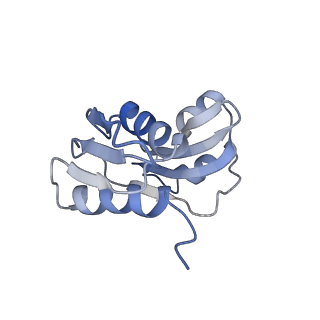 21859_6woo_WW_v1-0
CryoEM structure of yeast 80S ribosome with Met-tRNAiMet, eIF5B, and GDP