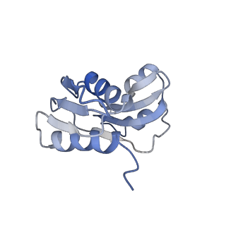 21859_6woo_WW_v2-0
CryoEM structure of yeast 80S ribosome with Met-tRNAiMet, eIF5B, and GDP