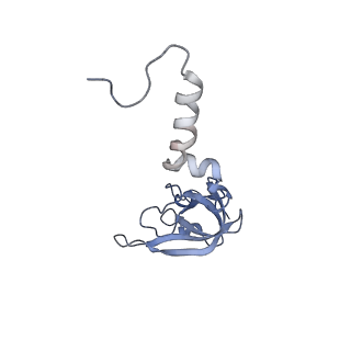 21859_6woo_XX_v1-0
CryoEM structure of yeast 80S ribosome with Met-tRNAiMet, eIF5B, and GDP