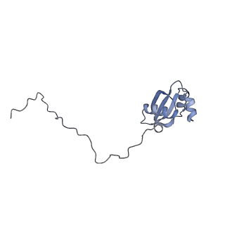 21859_6woo_X_v1-0
CryoEM structure of yeast 80S ribosome with Met-tRNAiMet, eIF5B, and GDP