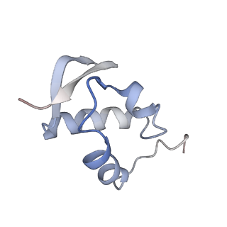 21859_6woo_ZZ_v1-0
CryoEM structure of yeast 80S ribosome with Met-tRNAiMet, eIF5B, and GDP