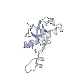21859_6woo_Z_v1-0
CryoEM structure of yeast 80S ribosome with Met-tRNAiMet, eIF5B, and GDP