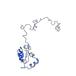 21859_6woo_a_v1-0
CryoEM structure of yeast 80S ribosome with Met-tRNAiMet, eIF5B, and GDP