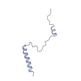 21859_6woo_b_v1-0
CryoEM structure of yeast 80S ribosome with Met-tRNAiMet, eIF5B, and GDP