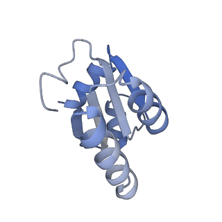 21859_6woo_c_v1-0
CryoEM structure of yeast 80S ribosome with Met-tRNAiMet, eIF5B, and GDP
