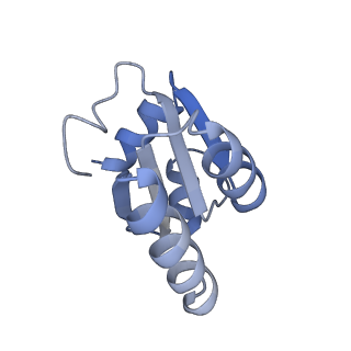21859_6woo_c_v2-0
CryoEM structure of yeast 80S ribosome with Met-tRNAiMet, eIF5B, and GDP