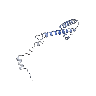 21859_6woo_h_v1-0
CryoEM structure of yeast 80S ribosome with Met-tRNAiMet, eIF5B, and GDP