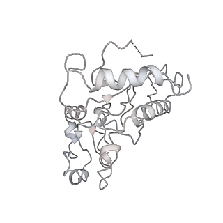 21859_6woo_q_v1-0
CryoEM structure of yeast 80S ribosome with Met-tRNAiMet, eIF5B, and GDP
