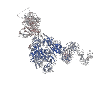 21860_6wot_B_v1-2
Cryo-EM structure of recombinant rabbit Ryanodine Receptor type 1 mutant R164C in complex with FKBP12.6