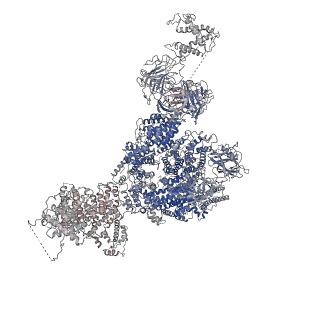 21860_6wot_C_v1-2
Cryo-EM structure of recombinant rabbit Ryanodine Receptor type 1 mutant R164C in complex with FKBP12.6