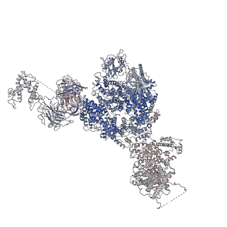 21860_6wot_D_v1-2
Cryo-EM structure of recombinant rabbit Ryanodine Receptor type 1 mutant R164C in complex with FKBP12.6