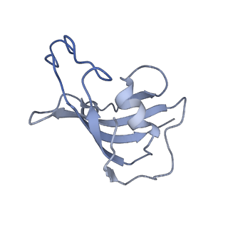 21860_6wot_E_v1-2
Cryo-EM structure of recombinant rabbit Ryanodine Receptor type 1 mutant R164C in complex with FKBP12.6