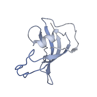 21860_6wot_F_v1-2
Cryo-EM structure of recombinant rabbit Ryanodine Receptor type 1 mutant R164C in complex with FKBP12.6