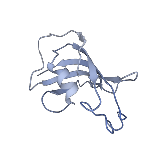 21860_6wot_G_v1-2
Cryo-EM structure of recombinant rabbit Ryanodine Receptor type 1 mutant R164C in complex with FKBP12.6