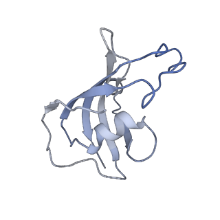 21860_6wot_H_v1-2
Cryo-EM structure of recombinant rabbit Ryanodine Receptor type 1 mutant R164C in complex with FKBP12.6
