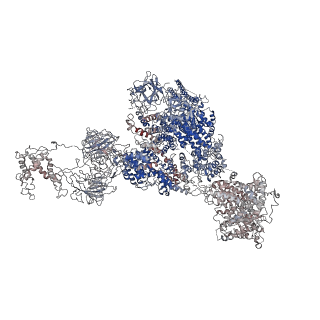 21861_6wou_A_v1-2
Cryo-EM structure of recombinant mouse Ryanodine Receptor type 2 mutant R176Q in complex with FKBP12.6 in nanodisc