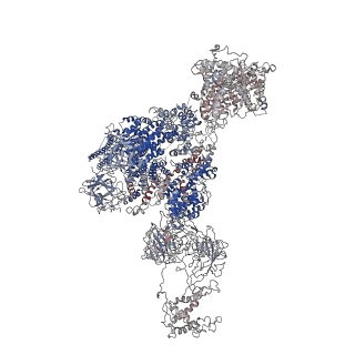 21861_6wou_D_v1-2
Cryo-EM structure of recombinant mouse Ryanodine Receptor type 2 mutant R176Q in complex with FKBP12.6 in nanodisc