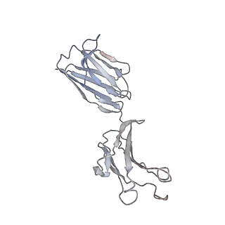 32638_7wo4_D_v1-3
SARS-CoV-2 Spike in complex with IgG 553-15 (S-553-15 dimer trimer )