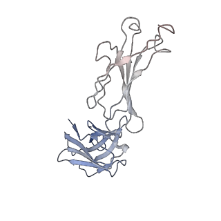 32638_7wo4_F_v1-3
SARS-CoV-2 Spike in complex with IgG 553-15 (S-553-15 dimer trimer )