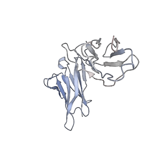 32638_7wo4_G_v1-3
SARS-CoV-2 Spike in complex with IgG 553-15 (S-553-15 dimer trimer )