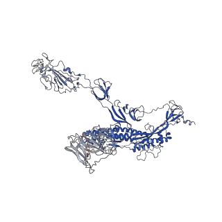 32638_7wo4_J_v1-3
SARS-CoV-2 Spike in complex with IgG 553-15 (S-553-15 dimer trimer )