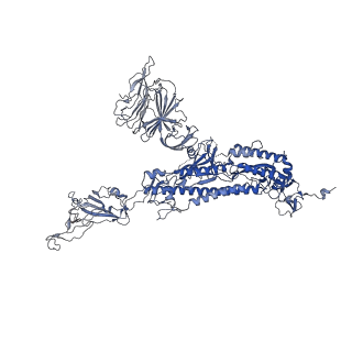 32638_7wo4_K_v1-3
SARS-CoV-2 Spike in complex with IgG 553-15 (S-553-15 dimer trimer )