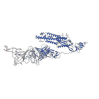32638_7wo4_L_v1-3
SARS-CoV-2 Spike in complex with IgG 553-15 (S-553-15 dimer trimer )