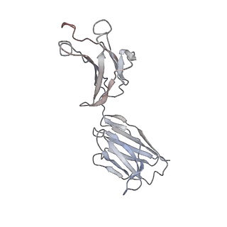 32638_7wo4_M_v1-3
SARS-CoV-2 Spike in complex with IgG 553-15 (S-553-15 dimer trimer )