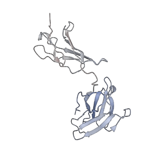 32638_7wo4_N_v1-3
SARS-CoV-2 Spike in complex with IgG 553-15 (S-553-15 dimer trimer )