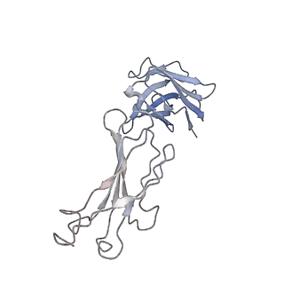 32638_7wo4_O_v1-3
SARS-CoV-2 Spike in complex with IgG 553-15 (S-553-15 dimer trimer )