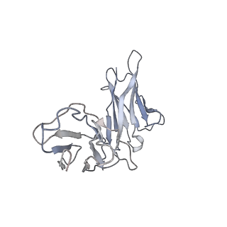 32638_7wo4_P_v1-3
SARS-CoV-2 Spike in complex with IgG 553-15 (S-553-15 dimer trimer )