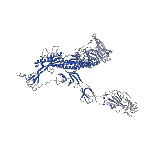 32639_7wo5_A_v1-3
SARS-CoV-2 Spike in complex with IgG 553-15 (S-553-15 trimer)
