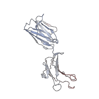 32639_7wo5_D_v1-3
SARS-CoV-2 Spike in complex with IgG 553-15 (S-553-15 trimer)