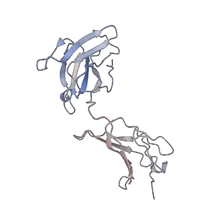 32639_7wo5_E_v1-3
SARS-CoV-2 Spike in complex with IgG 553-15 (S-553-15 trimer)