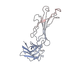32639_7wo5_F_v1-3
SARS-CoV-2 Spike in complex with IgG 553-15 (S-553-15 trimer)
