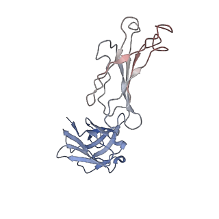 32641_7wo7_A_v1-3
Locally refined region of SARS-CoV-2 Spike in complex with IgG 553-15