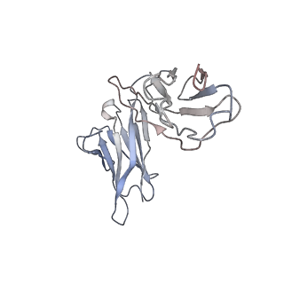 32641_7wo7_B_v1-3
Locally refined region of SARS-CoV-2 Spike in complex with IgG 553-15