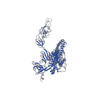 32646_7woa_C_v1-3
SARS-CoV-2 Spike in complex with IgG 553-60 (1-up trimer)