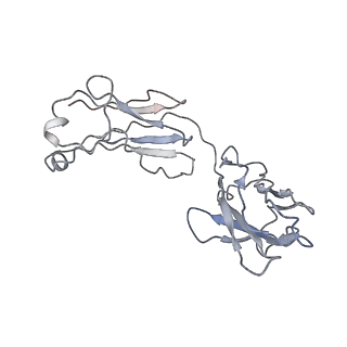 32646_7woa_G_v1-3
SARS-CoV-2 Spike in complex with IgG 553-60 (1-up trimer)