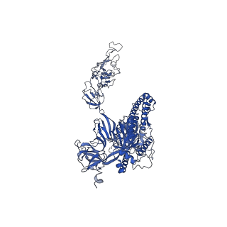 32647_7wob_C_v1-3
SARS-CoV-2 Spike in complex with IgG 553-60 (2-up trimer)