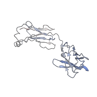 32647_7wob_G_v1-3
SARS-CoV-2 Spike in complex with IgG 553-60 (2-up trimer)
