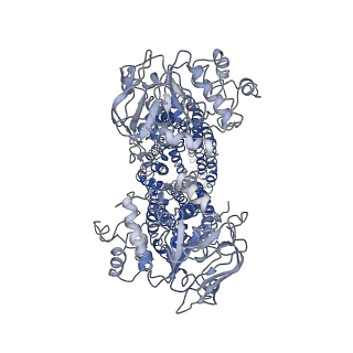 37694_8woo_A_v1-0
Structure of the wild-type Arabidopsis ABCB19 in the brassinolide and AMP-PNP bound state