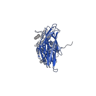 37695_8woq_A_v1-0
Cryo-EM structure of human SIDT1 protein with C1 symmetry at neutral pH